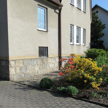 Penzion D Vikýřovice Exteriör bild